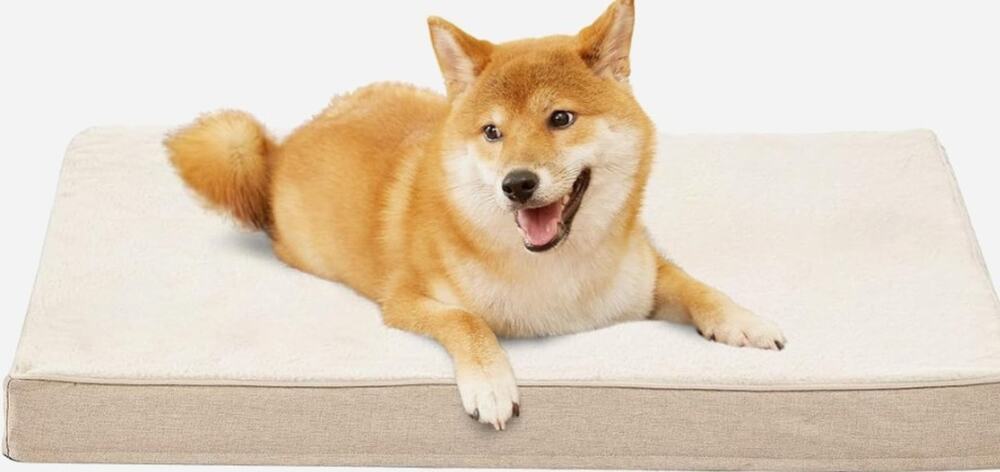 ZAKAPAWS Dog Orthopedic Pet Beds 35"L x 23"W x 3"H, Beige. New in Box